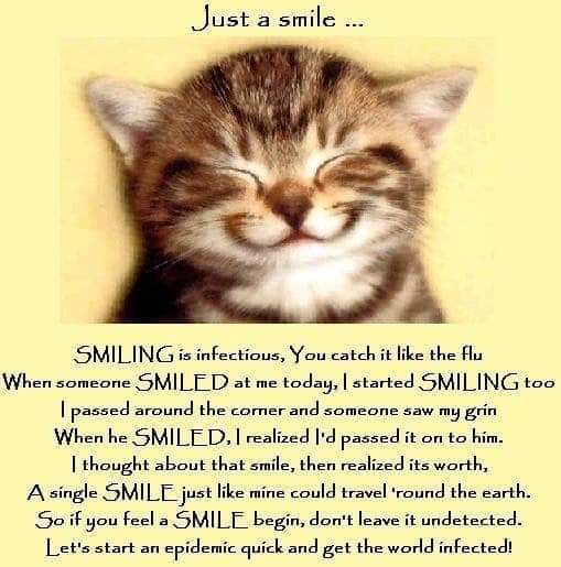 AndoverNurses's tweet photo. Happy Monday ! 
wishing all our colleagues a great week ahead https://t.co/3vvrzmpGkZ