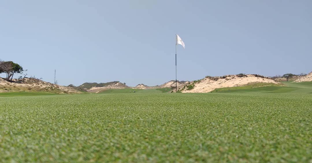 Taylor76Nigel's tweet photo. Really no need to talk about the golf that was played today but we can certainly talk about this spectacular golf course #thebluffshotram #justspectacular #golfasia #expatlife #golfcoursephotos #golfcoursemaintenance @AliMacFadyen big👍on the course conditions mate https://t.co/VnBonxXavw