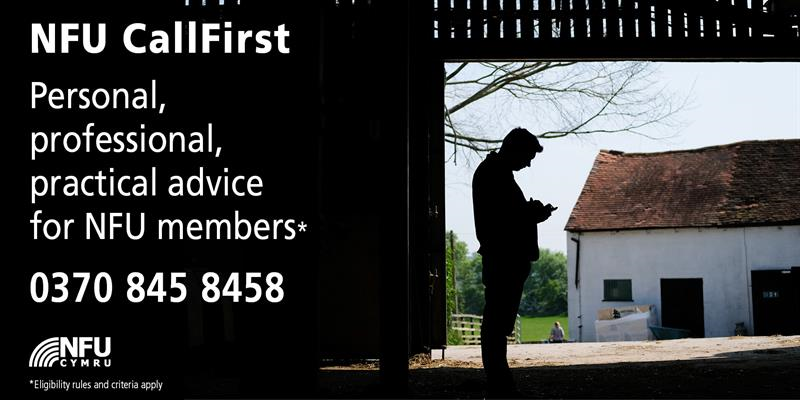 NFUCymru's tweet image. Our #CallFirst service offers FREE expert advice to members, call today on 0370 845 8458 nfuonline.com/callfirst