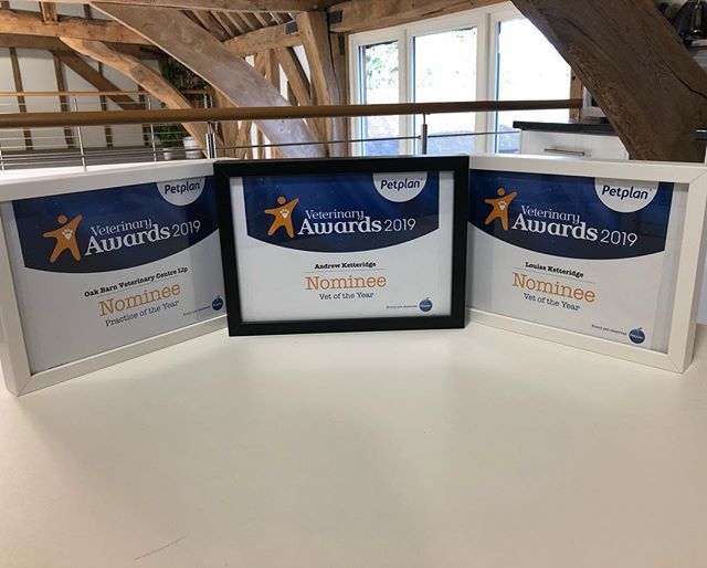 OakBarnVets's tweet photo. It’s awardtastic at the Barn this Monday!! Thank you for your nominations #bestvets #oakbarnvets https://t.co/mHT4nBfi8f https://t.co/ElCMy07tTu