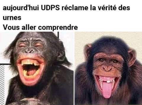 LuyindulaEmmer2's tweet photo. https://t.co/bS72qqv2zY