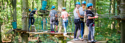 schoolreistv's tweet photo. Ben jij al bij @FunForest_NL geweest? Dit jaar heeft het klimbos weer nieuwe onderdelen! Je kan ze al uitproberen vanaf € 11,95 per leerling. Kijk voor meer #informatie op: https://t.co/e4NZ1xxKfp https://t.co/zKA5yS60m1