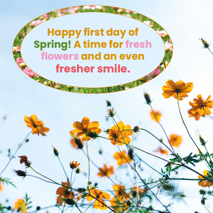 #didyouknow your hygienist is qualified to offer tailormade diet and lifestyle advice, as well as keep your teeth and gums healthy and disease-free. Book your hygiene appointment today! #dentistry #oralhealth #dentalappointment #dentist #dentalhygiene #spring