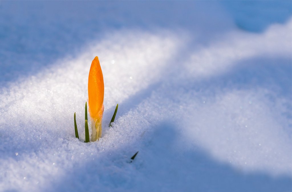 GrettaStark's tweet photo. Is it spring yet? https://t.co/4tOG81Qqkv https://t.co/YwAcjWTh6j