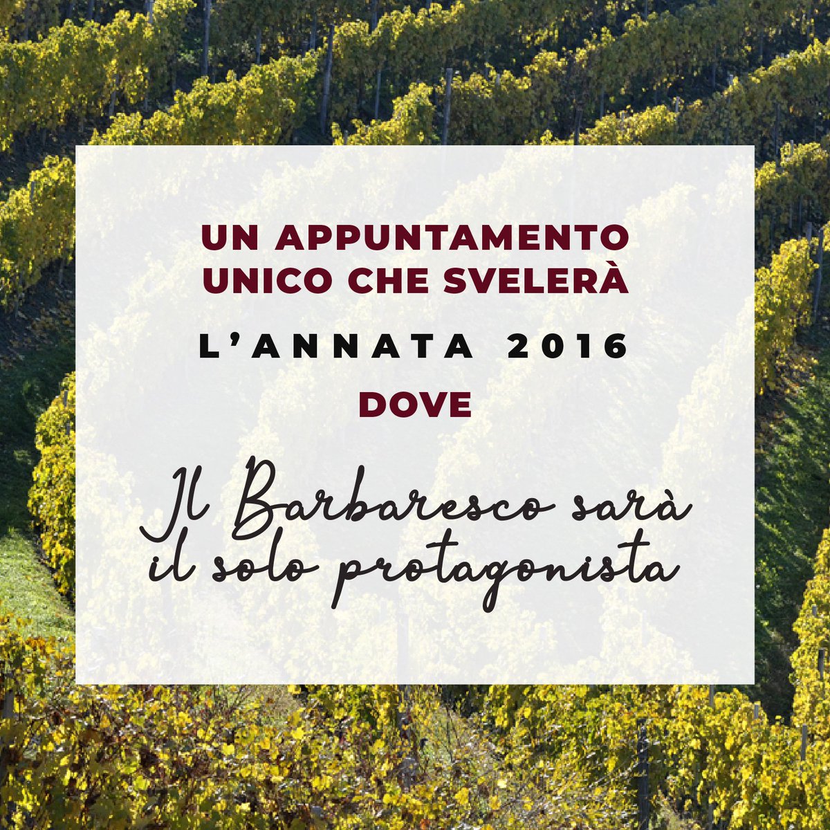 Tutte le sfumature del #barbaresco DOCG 2016
Il #barbaresco DOCG 2016 è pronto a presentarsi al mondo 
<a href="/EnoBarbaresco/">Enoteca Regionale del Barbaresco</a>  è lieta di annunciare la Presentazione dell’annata 2016 del #Barbaresco DOCG in un Evento unico.
enotecadelbarbaresco.com