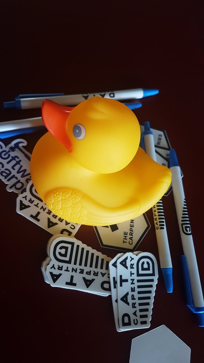 aneldavdw's tweet photo. Happy and sad today. We're running the last @thecarpentries workshop funded through this round of #RCCPII this week. Also the first @datacarpentry workshop at one of SA's youngest universities: @MySPU. Thanks for hosting us! Enjoying conversations around data analysis #rstats etc https://t.co/YrYn9kCF0A