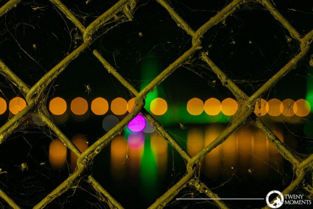 jerryjones99's tweet photo. When Evoke had just begun, I met a photographer called @twenymoments. The man fears Twitter because he thinks itโs too savage ๐๐
Here are some of his shots from the #NeonAtTheBridge party. Feel free to RT if you like what you see. Letโs get him more business ๐ฅ๐ฅ https://t.co/t1pJHbFOv9