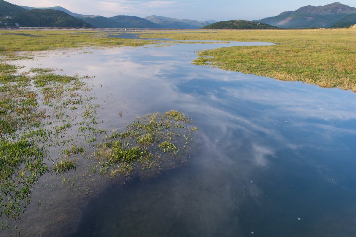  #DYK that around 40% of the people that live in Wales don’t know what a  #saltmarsh is, and that only 37% have ever knowingly visited these coastal environments? Despite this  #saltmarshes are increasingly valued for their  #ecosystemservices