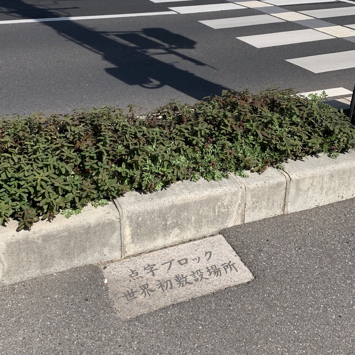 点字ブロックの日