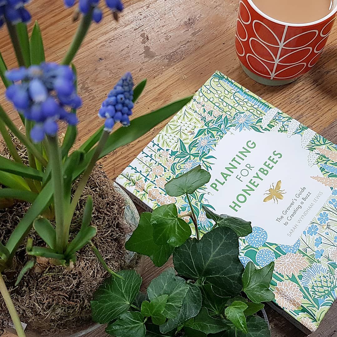 fantailflorist's tweet photo. Interesting read. It has made me question the seedball even though the trend has some positives
#bees #plantingforbees #honey #honeybees #beginnerbeekeeper #beekeeper #flowers #florist #growingforbees #seeds #seedball #fantail #floristinsheffield #beefriendly #beefriendlyplants https://t.co/m284cOKfUW