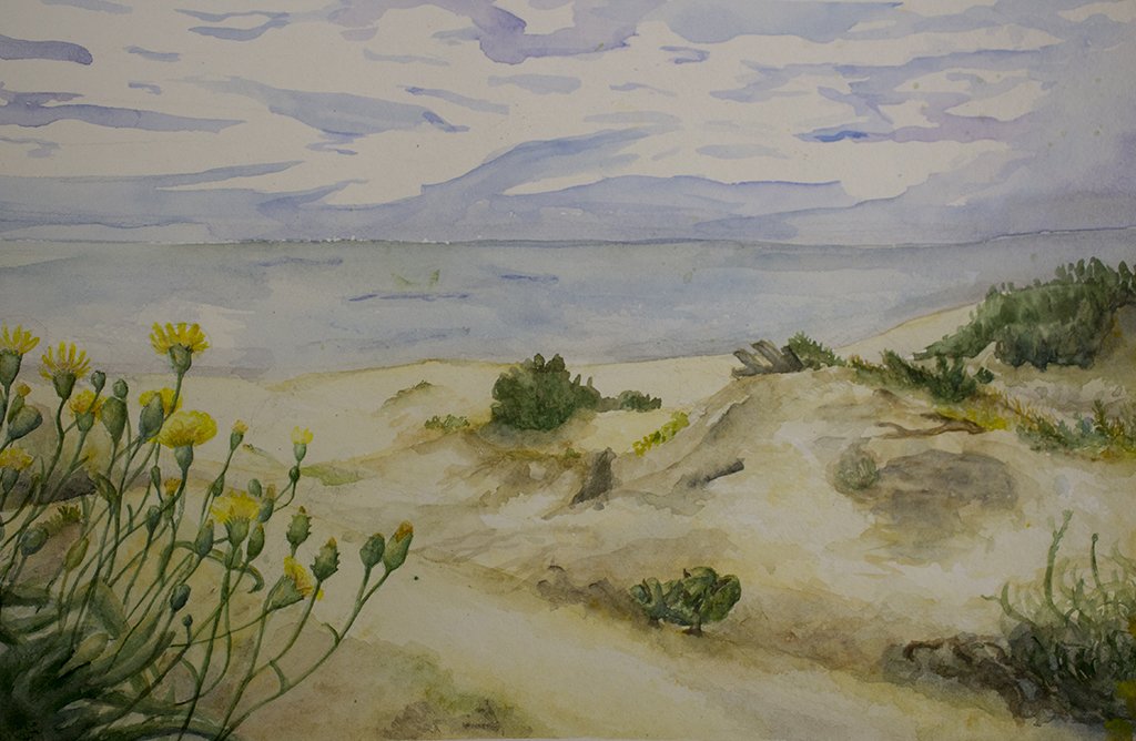 's tweet image. 🌊 Look at the #CuronianSpit's landscape through the eyes of young artists👦👧 from the #Kaliningrad Region

📷bit.ly/2O8wruI