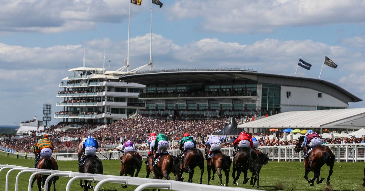 mylittletip's tweet image. 🎁 How would you like to win 2 X tickets in the main Grandstand at #Epsom for the Derby on 1st June.

👍🏼To enter draw simply follow the two easy steps below

1️⃣You MUST be following @mylittletip

2️⃣You must RETWEET this 🔁

(Over 🔞 only &amp;amp; NOT for resale)