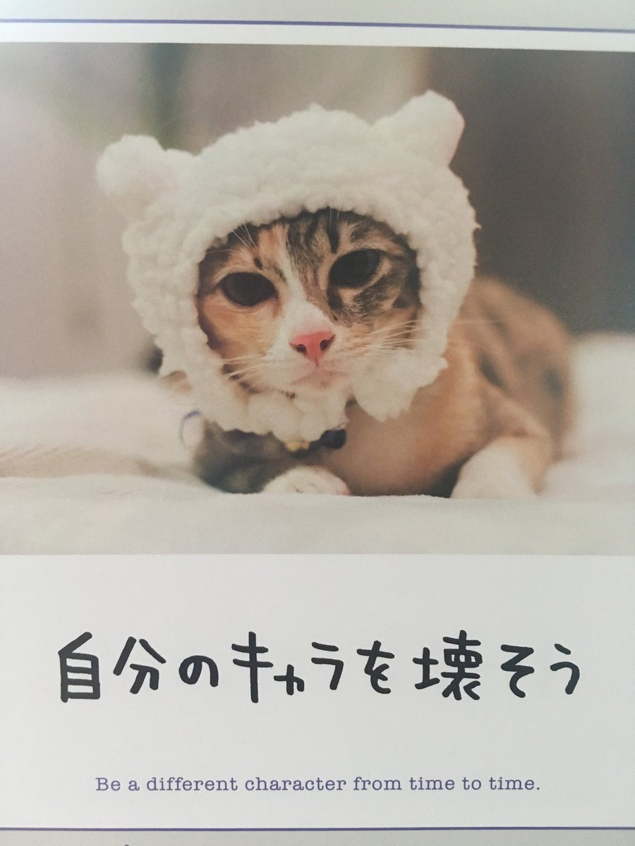 avecscience's tweet photo. https://t.co/YsJX76n3KO