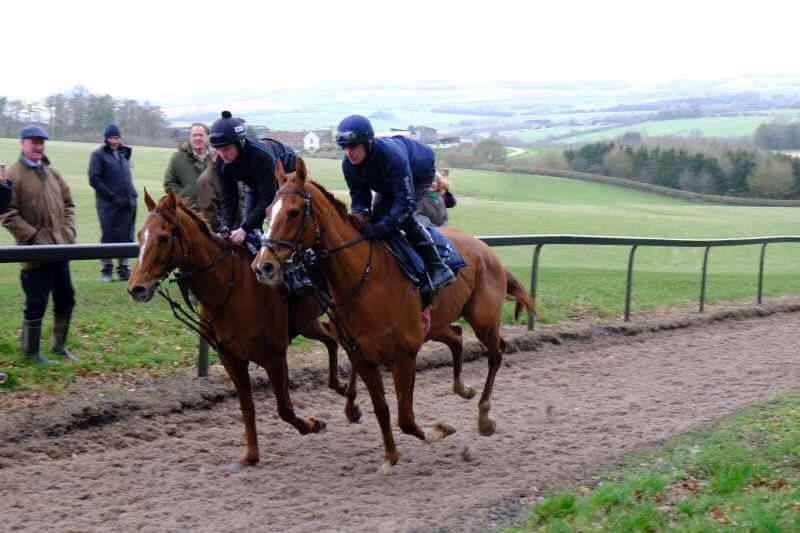 Maggie's in Cheltenham (@maggieschelt) on Twitter photo Good luck to Another Venture and <a href="/MikeyHamill1/">Mikey Hamill</a> (pictured left) today at 3.25pm <a href="/plumptonraces/">Plumpton Racecourse</a> with <a href="/kimbaileyracing/">Kim Bailey & Mat Nicholls Racing</a>. Thank you for your support of Maggie’s! 🏇🤞🏇 Good luck to Another Venture and <a href="/MikeyHamill1/">Mikey Hamill</a> (pictured left) today at 3.25pm <a href="/plumptonraces/">Plumpton Racecourse</a> with <a href="/kimbaileyracing/">Kim Bailey & Mat Nicholls Racing</a>. Thank you for your support of Maggie’s! 🏇🤞🏇