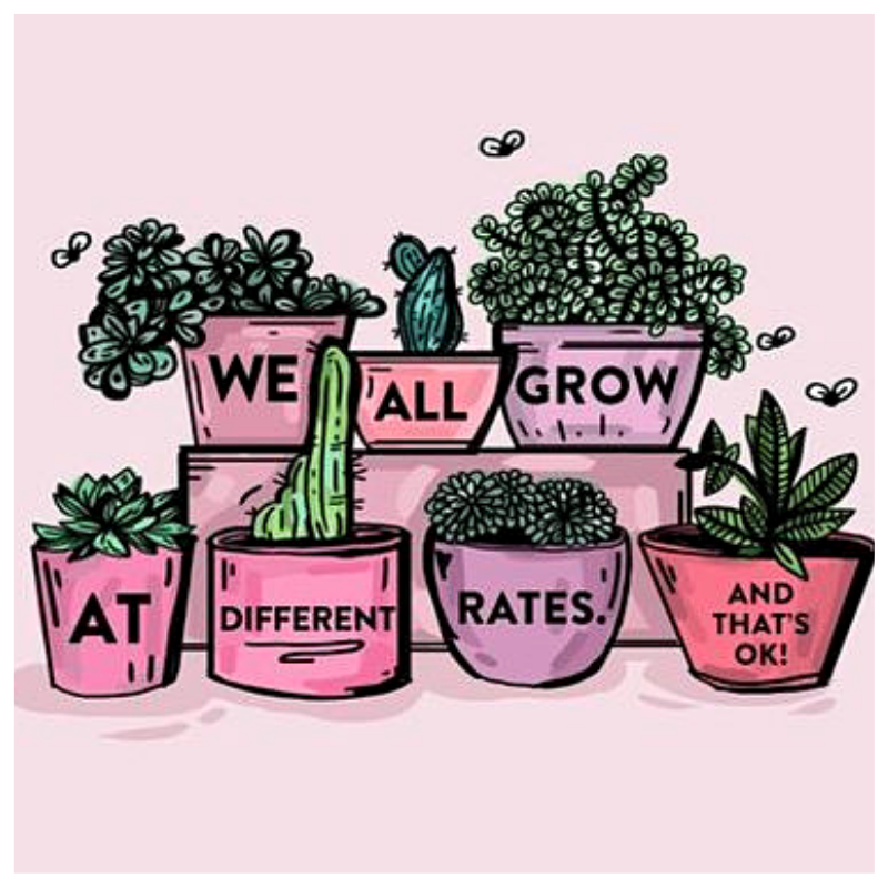 AriaJoy_Health's tweet photo. Embrace Your Unique, Beautiful Self. 🌹

It is not a competition. Take your time and enjoy the journey. 💕

#unique #beautiful #selfgrowth #healthyLifestyle #vegan #mondaymotivation https://t.co/6pVZmM46rz