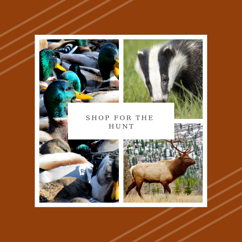 OpticsSharp's tweet photo. No matter what you are hunting, we have great deals on the optics you need at https://t.co/DON7lhOdK3 https://t.co/ER9HBYzXnx