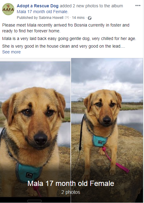 Action Aid for Animals tweet media