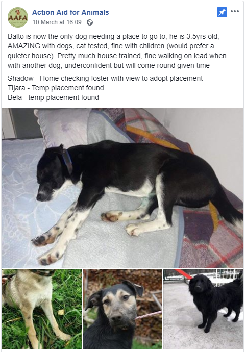 Action Aid for Animals tweet media