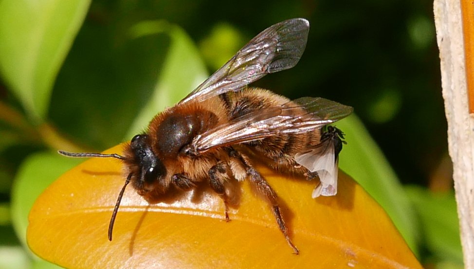 Simon Knott tweet media