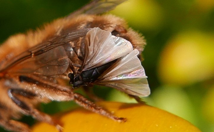 Simon Knott tweet media