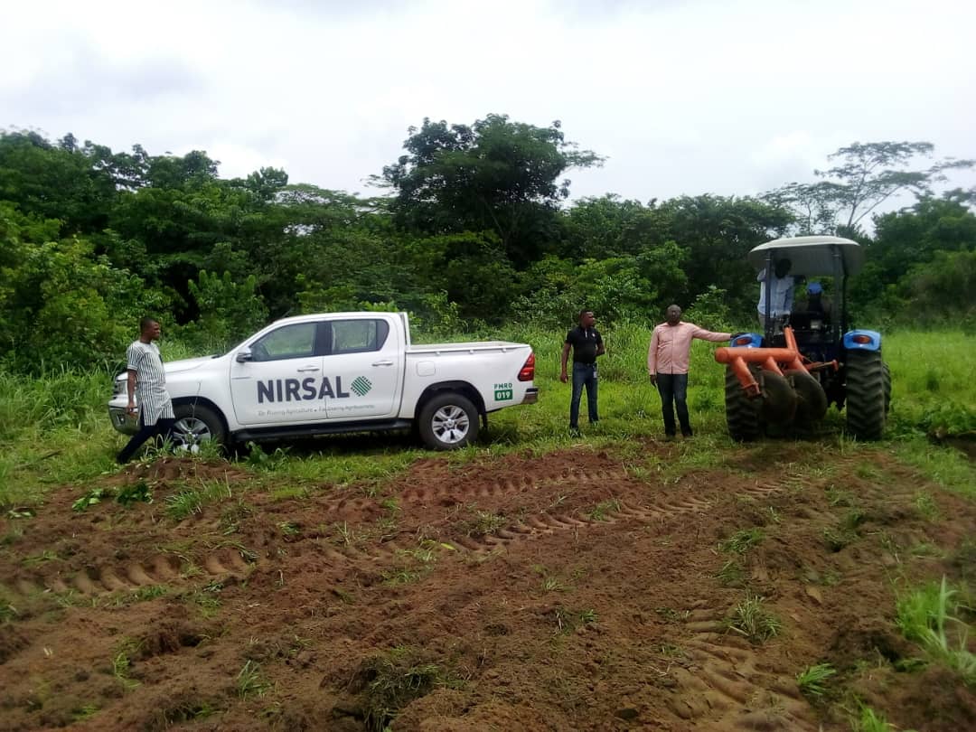 nirsalconnect's tweet photo. We're in Abraka, Ethiope East LGA of Delta State. Officers from our project office in Asaba have taken delivery of tractors for the #MAAN #ABP project with 332 farmers on 863 hectares. Land preparation for wet season maize production is underway.
#CBN #NIRSAL #InputDistribution https://t.co/3w8hKQZErY