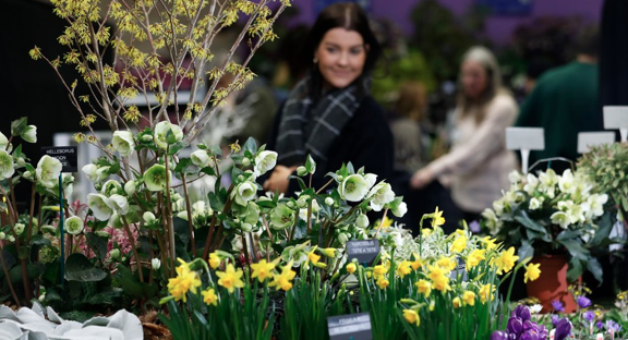 harespring's tweet photo. We are loving the sunshine and busy getting ready for #RHSWisley Spring Plant Fair where we will have a wide range of potted #Camassia for sale.
Runs from 22-24 March. More info about the event here.
https://t.co/wqtKtiK0py #RHS @The_RHS #SpringPlantFair https://t.co/RTRBNPqGU4