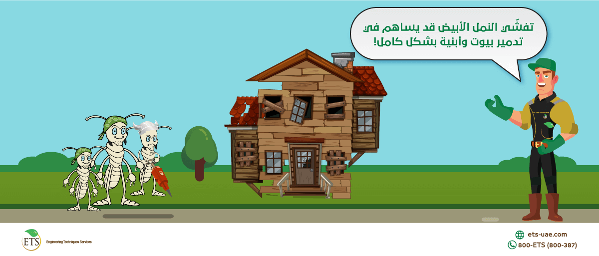 etsuae's tweet image. يملك النمل الأبيض قدرة تدميرية كبيرة بسبب تفضيله للعيش داخل أساسات الأبنية وفي أثاث المنزل وتغذيه عليها مما قد يؤدي إلى انهيار البيت دون الشعور بوجود النمل الأبيض.
للتواصل مع خبرائنا الرجاء الاتصال على الرقم التالي:
(800-387)
أو زيارة موقعنا الإلكتروني:
ets-uae.com/freecheck/term…