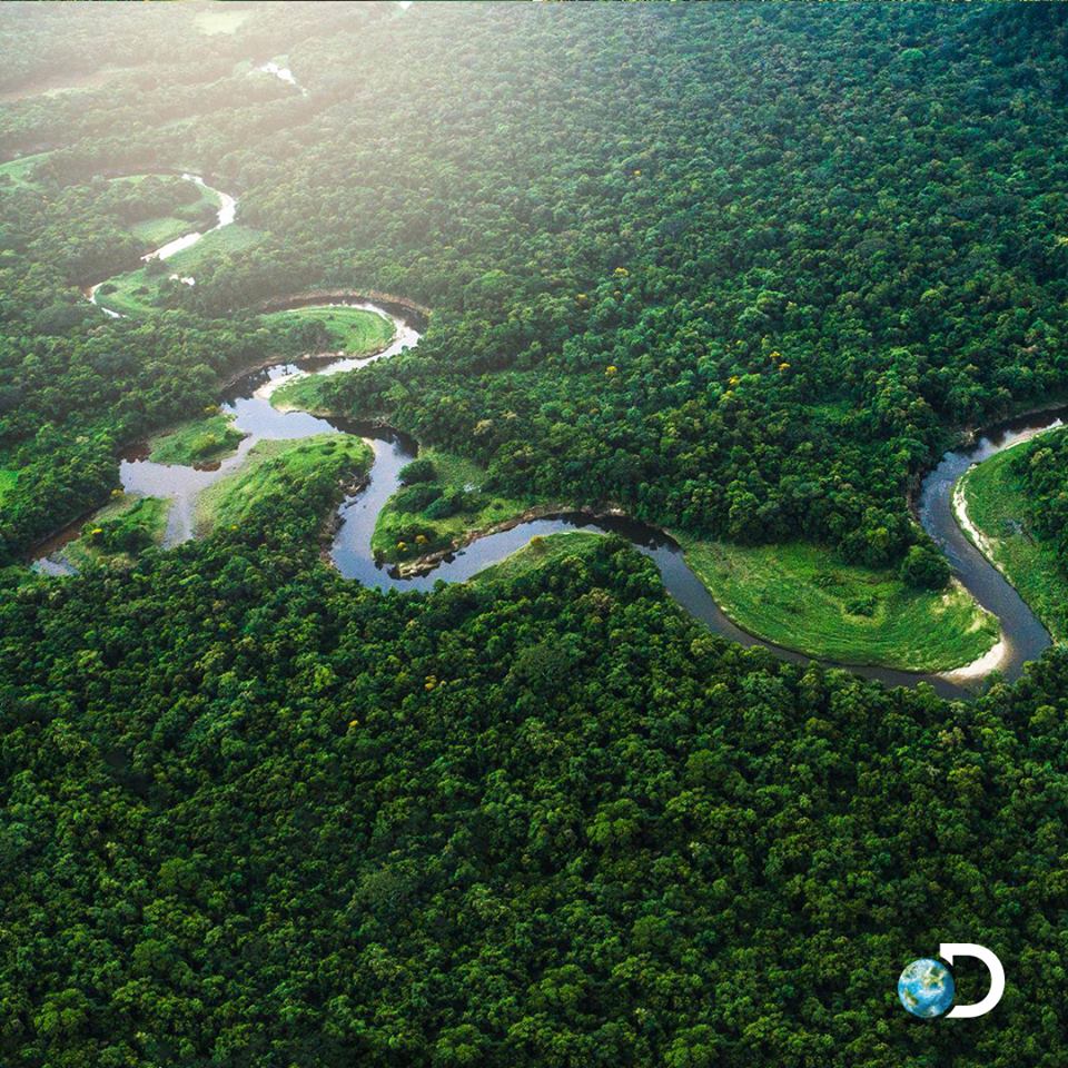 🌎 Discovery Channel on X: La Reserva del Río Plátano, en Honduras,  conforma una de las últimas selvas tropicales en América Central. Desde su  montañoso paisaje hasta la costa del Caribe, más