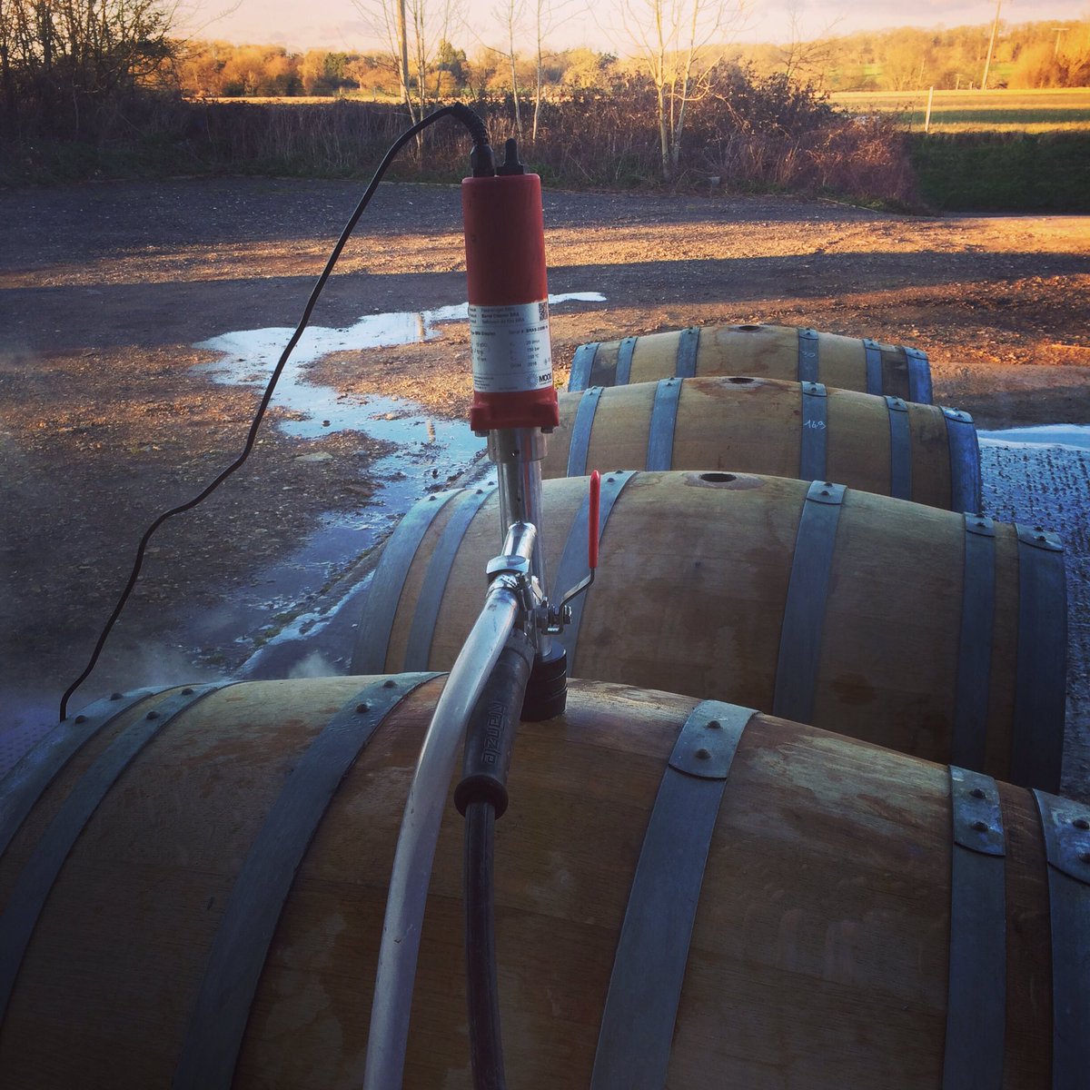 End of a long winery day washing barrels as the sun goes down. This time next week we'll be bottling!
#sunday #winerylife