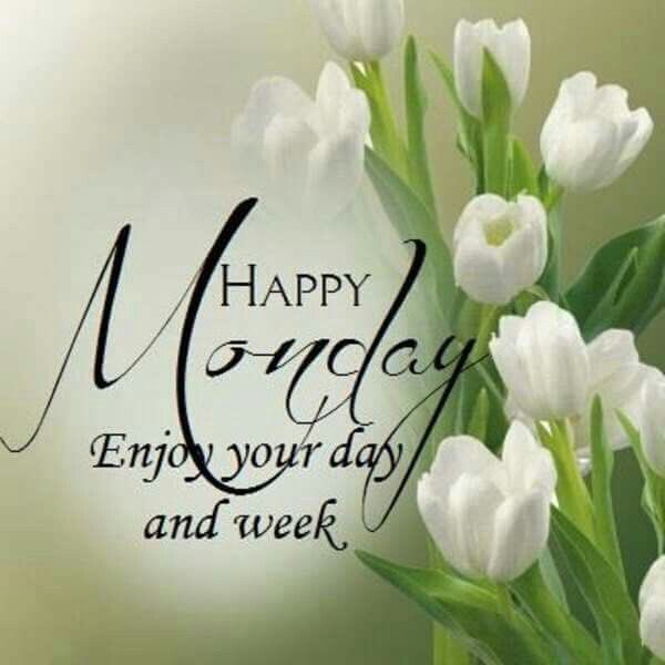 MsDAliano's tweet image. Make everyday and every week count. #ThisisCable @NISDCable @SillerRosie @jgarza077