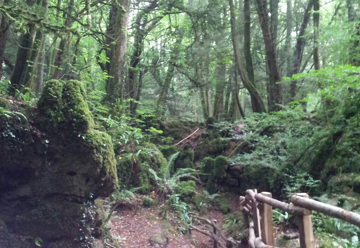 FoDDC's tweet photo. We're delighted to hear that the Forest of Dean has been voted the country's third favourite holiday destination by @BBCCountryfile Magazine Awards 2019 #fod #bbccountryfile 
https://t.co/go7BvTxMg9 https://t.co/QsvueLegpO