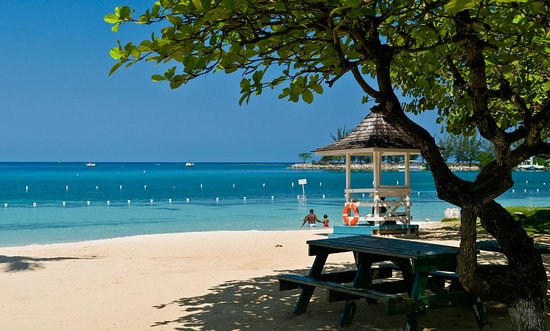 Traveldecorum's tweet photo. Ocho Rios town is hugely popular among tourists for being the party destination. It is also a popular cruise pit stop like Montego Bay. Book cheap flights to Jamaica Montego bay from london@http://bit.ly/2XYrXvg

#flights #ukflights #montegobay #flightstomontegobay #jamaica https://t.co/1CsjonhcKL