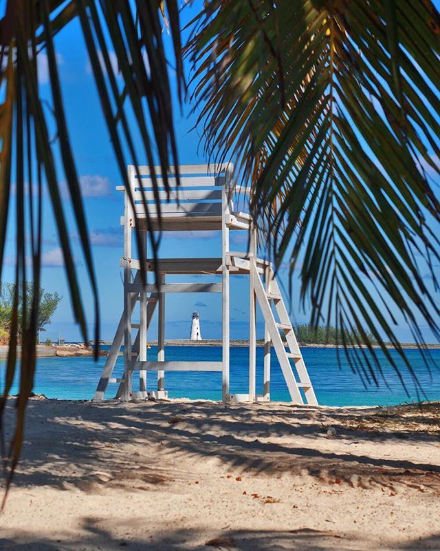 LucaBernacconi's tweet photo. • Nassau •

#bahamas
#beach
#caribe
#port
#dock
#caraibi
#sea
#plage
#sun
#travel
#nassau 
#atlantisbahamas 
#paradisebeach
#paradais
#islands
#sky
#clouds
#palm https://t.co/UodBPsEWS0 https://t.co/ebWirBZmhr