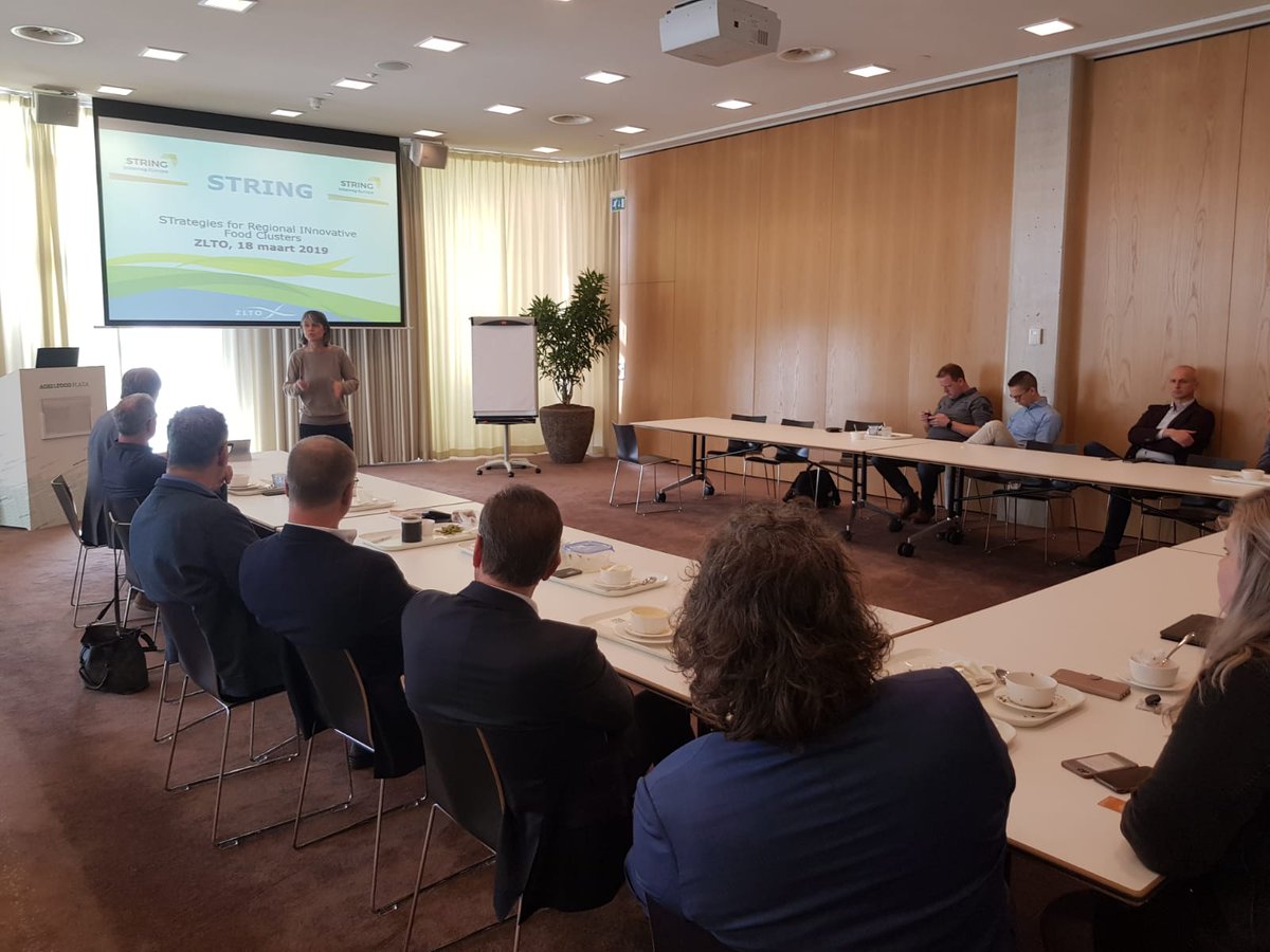 Marjon Krol tweet media