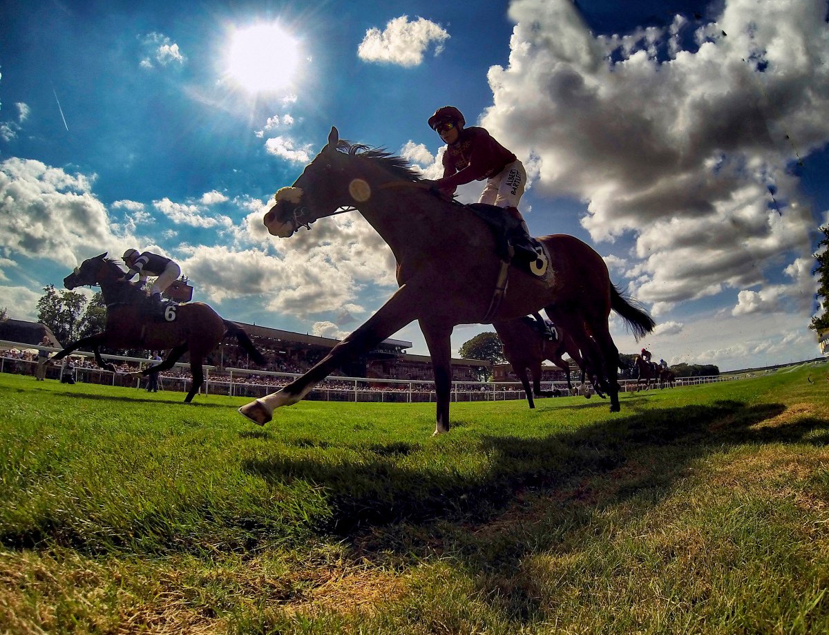 Group Travel World tweet media