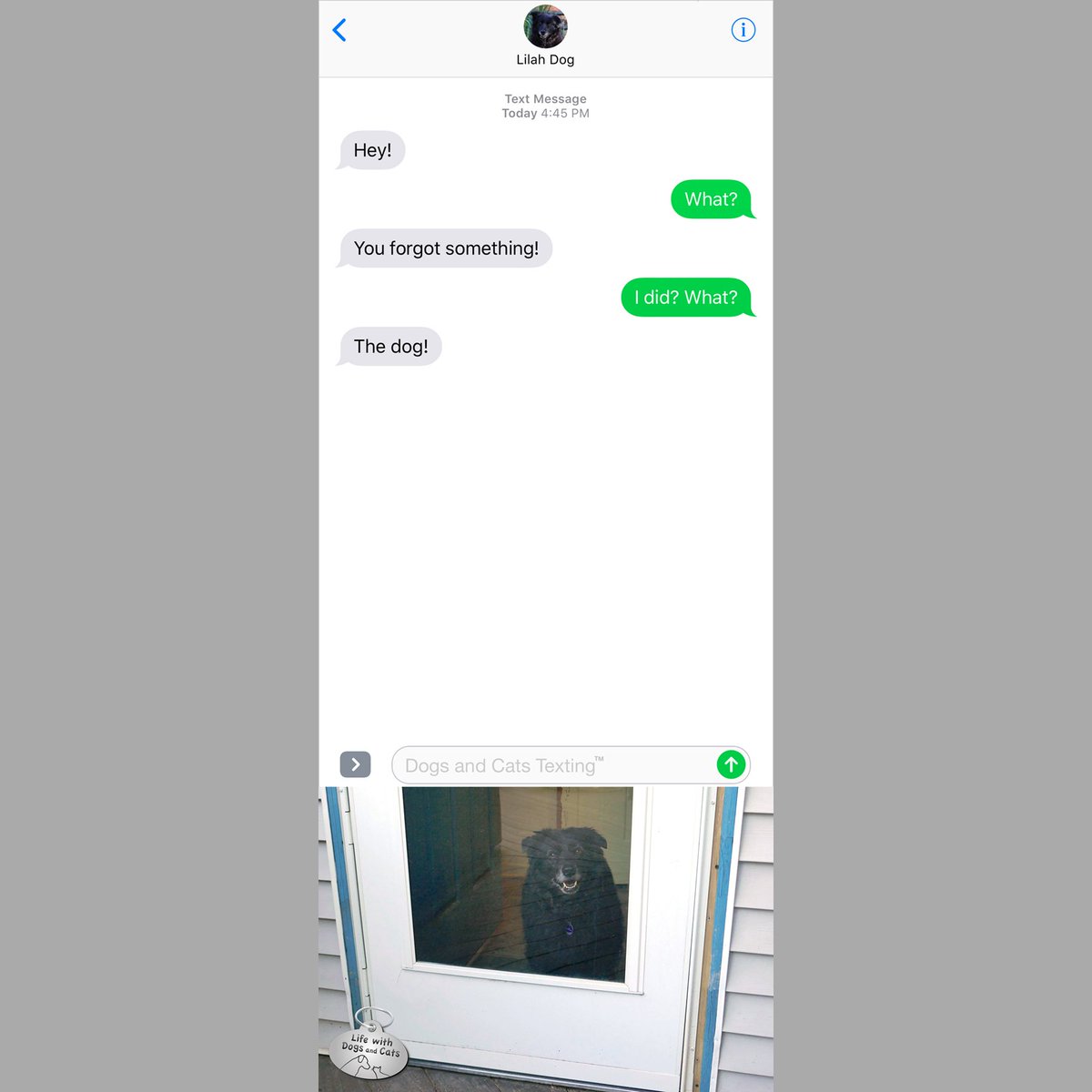 DogsAndCatsText's tweet photo. #TextFromDog: Hey! Me: What? Dog: You forgot something! Me: I did? What? Dog: The dog! #bringthedog #youforgotsomething https://t.co/HWgKRlirsa