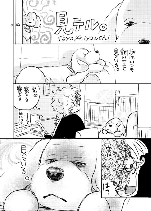 ドッグトレーナー漫画dogsignal連載中 を含むマンガ一覧 ツイコミ 仮