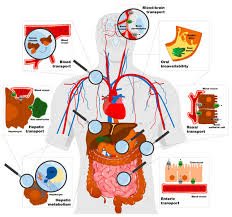 pharmacol14's tweet photo. #pharmaceutics Food Bioactive Compounds and Their Interference in #Drug #Pharmacokinetic #Pharmacodynamic .
Publish your research work: pharmacology@pulsusgroup.org https://t.co/sbgOJg1Wg2