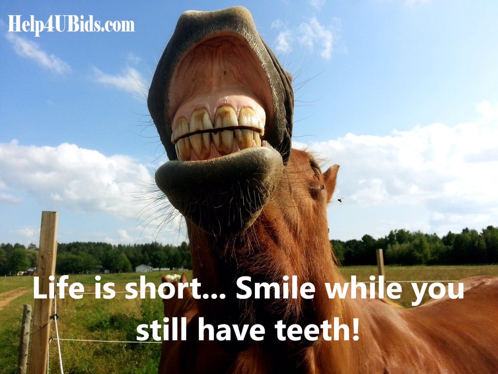 Help4UBids's tweet image. Got teeth? #Michigan #Duke #GoGreen #BigTen #MondayMorning