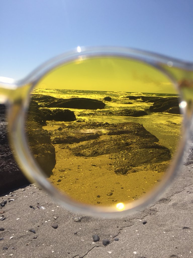 nathaliaSC_04's tweet photo. Otro foco! 
#yellow #antofagasta #miradadistinta https://t.co/hnNi62Tuwq