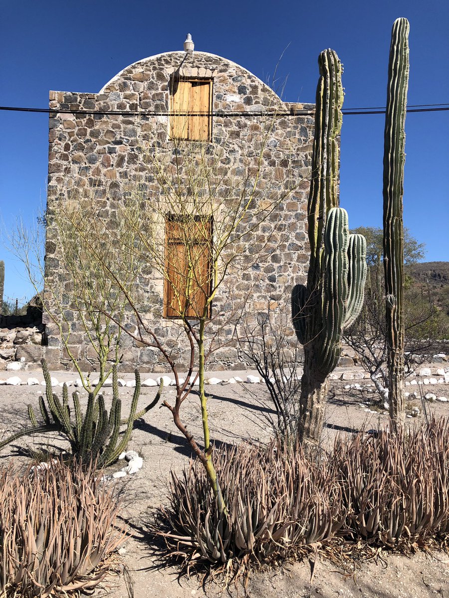 mochilerostv's tweet photo. ¿Has vuelto a lugares que ya conociste más de una vez? Es curiosa esa sensación de ver si ha cambiado el lugar y lo que ha cambiado uno mismo.
📍Mulegé 🌵💧🌴
#belander #mochileros #RoadtripBaja #BajaCalifornia #BajaSur https://t.co/2wXl0h5srx