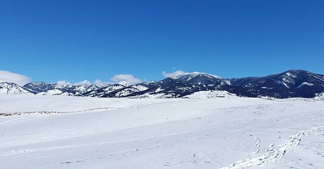 HikingforLiving's tweet photo. Mountains are my must have. .
.
.
.
.
.
.
.
.
.
#hike #outdoor #Montana #mountains #snow #winter #bluesky #hikingforliving #love #musthavemountains #sunshine #negativetemps #itwascold https://t.co/bIpSaXIw68 https://t.co/DexMKhXICH