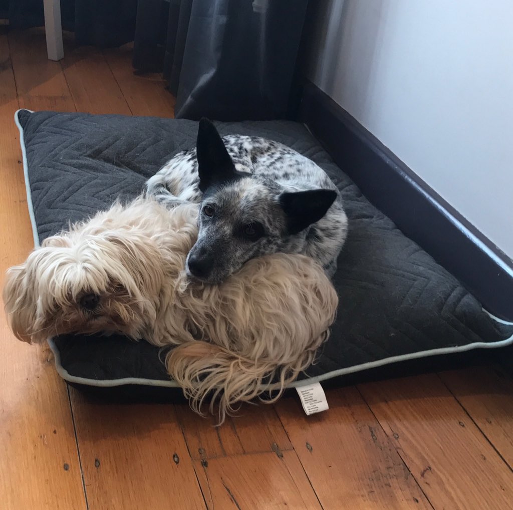 David Stretch tweet media