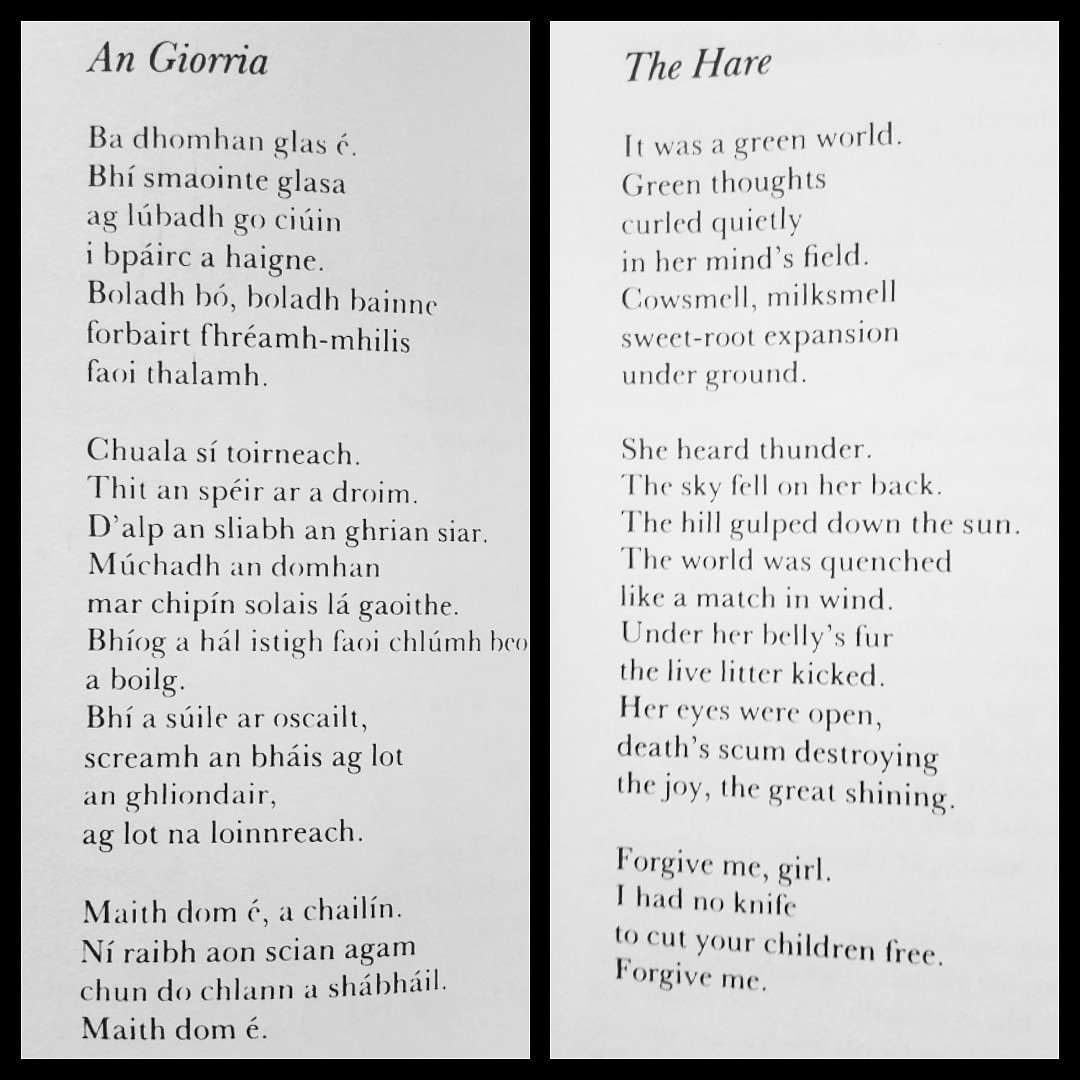 mommamaybemad1's tweet photo. This hard beautiful poem for Spring by Michael Hartnett. I'm practicing reading it aloud as Gaeilge but keep choking up on its soft, sweet, heart thrumming, heart thumping brutality. The world is soft, sweet, hard, and brutal. @Motherfocloir
#irish  #poetry #poem #gaeilge https://t.co/9cMg6LZjOh