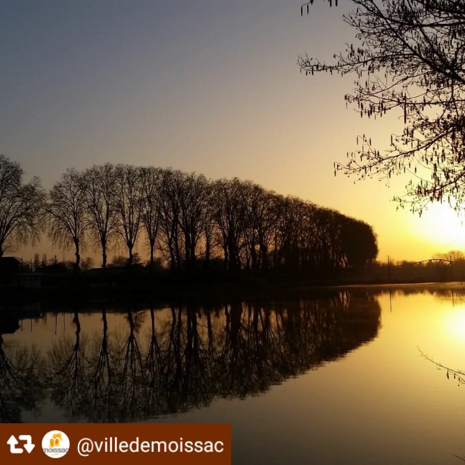 dtag82's tweet photo. Le soleil se lève sur le #Tarn et le pont Cacor vus de l'île du Bidounet.
#Moissac #TarnEtGaronne  #Occitanie #France #MagnifiqueFrance @tarnetgaronne82 https://t.co/HKaKR2X0i6