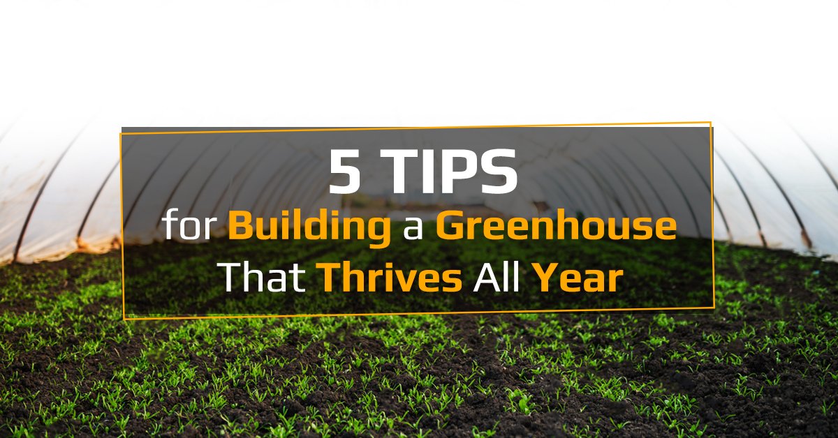AmericoverGrows's tweet photo. Need a #greenhouse for your #cannabis? Whether you DIY or know a builder, here’s the 411 on structures, permits, covers, poly sheeting, &amp; light dep needs. https://t.co/6dpIGJZFHL https://t.co/t0m5bO1dUX