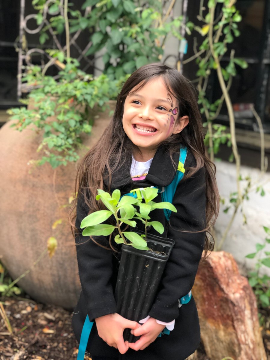 CityofMcAllen's tweet photo. π¦ππ¦The grand BUG Parade, lead by @mayordarling, was inspired by the grand Monarch. Thanks for attending! Create your very own Monarch garden by planting Milkweed so caterpillars are happy.π
See you March 21, 2020!
#MonarchFest #MagicOfMcAllen https://t.co/u7e3TRLSc4