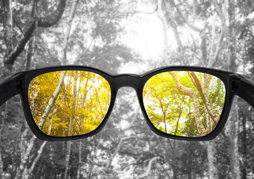 EdPlace_SEND's tweet photo. What is #colourblindness ? Read our new blog post that explains the different types of #CVD and signposts you to @colourblindorg for specific and specialist information https://t.co/xiekVhGc4O
#SEND #toptips #helpfulhero https://t.co/42fcVEAB9C