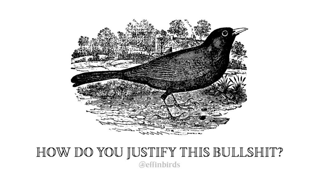 Effin' Birds (@effinbirds) on Twitter photo 