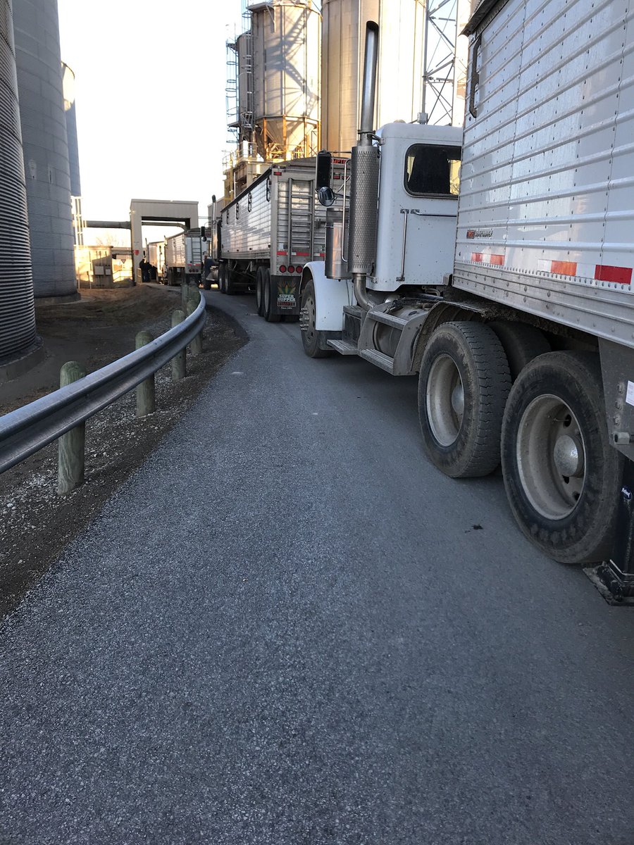 RosierDylan's tweet image. How ironic this grain was grown in a drought now hauled out before it floods. #mocorn #flood19